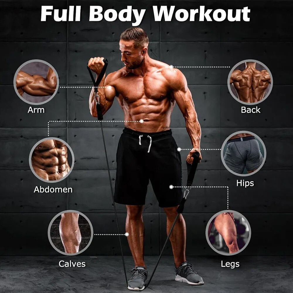 Набор эластичных лент для упра – обзор и цена Home Gym Equipment Set